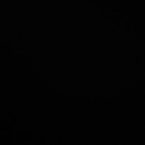 Meet your Posher, Larsa